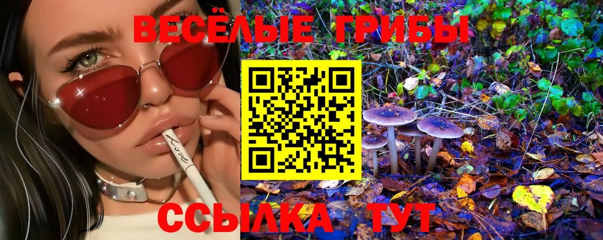 Галлюциногенные грибы Psilocybine cubensis Пыть-Ях